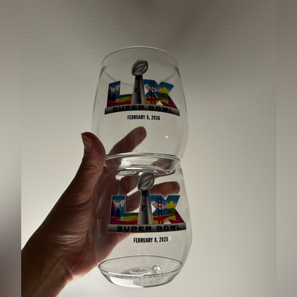 NFL Super Bowl acrylic wine glasses- 2